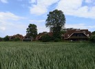 Jacobihof Haus 15 W 4