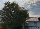 Haus Wind und Meer Meerblick
