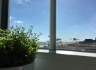 Seeblick 2